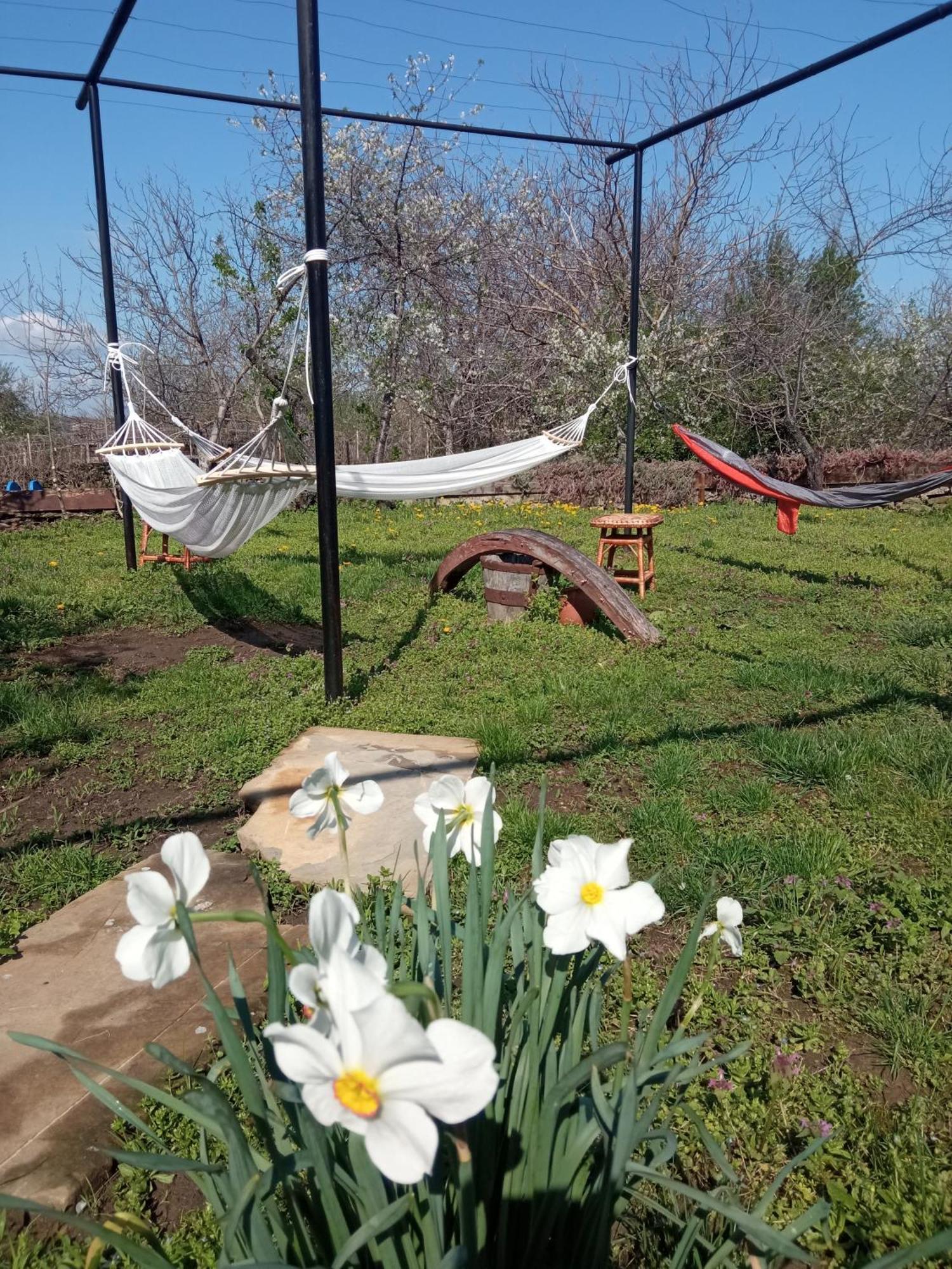 Guest House Art Eco Land Ganchovets Ngoại thất bức ảnh