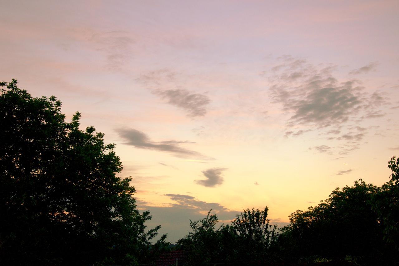 Guest House Art Eco Land Ganchovets Ngoại thất bức ảnh